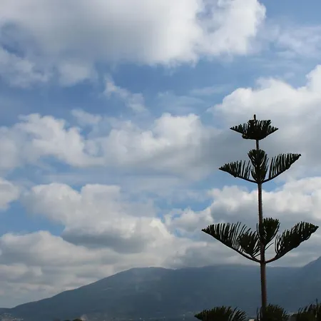 Villa Kyparissia With Private Beach Patras